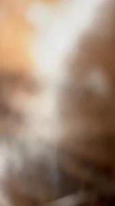 [原创] 手势验证，能看到奶子吗？